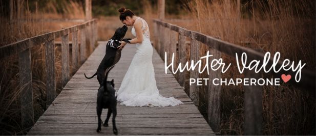 Hunter Valley Pet Chaperone